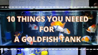 WHAT YOU NEED TO SETUP A GOLDFISH TANK RANCHU TANK [upl. by Gabrielli]