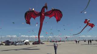 1000s of flying kites on the beach Fanø Denmark 🇩🇰 [upl. by Leveridge]