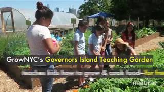 Inspiring urban farm teaches kids how to grow organic food on an NYC island [upl. by Cordeelia]