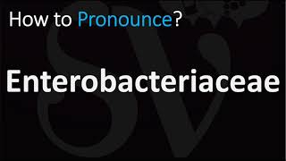 How to Pronounce Enterobacteriaceae CORRECTLY [upl. by Nerfe671]