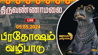 LIVEதிருவண்ணாமலை அண்ணாமலையார் கோயில்பிரதோஷம் வழிபாடுThiruvannamalai Annamalaiyar TemplePradosham [upl. by Dviad]