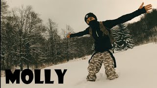 Gliša  Molly Official Video [upl. by Denae]