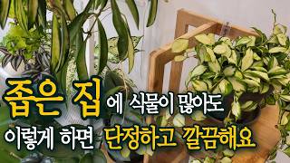 좁은 공간 활용도 높은 인테리어 방법  단정하고 깔끔한 플랜테리어 꿀팁 [upl. by Lorain]