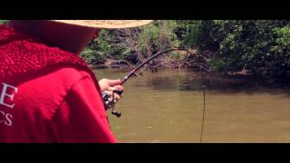 Yadkin River Catfishing 42 lb Flathead [upl. by Bambie]