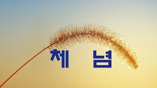 가요  빅마마  체념  가사첨부  반복듣기  7080 8090 국내가요 한국가요 KPOP [upl. by Oiznun275]