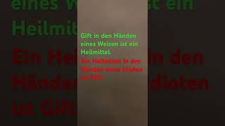 Rapunzula‘s Spruch 146 [upl. by Llesig]