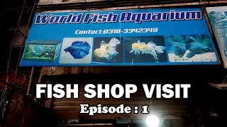 Visit World fish aquarium shop  Fish shop in Karachi  Ashfaq knowledge [upl. by Narok362]