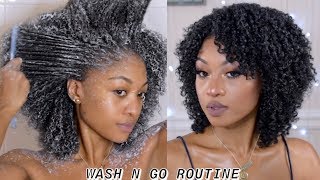 TYPE 4 HAIR UPDATED WASH N GO ROUTINE  CURL DEFINITION AT ITS BEST  DisisReyRey [upl. by Audun]