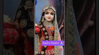 Radhe Radhe 🙏 chitra vichitra bhajenbhakiviral trending shorts [upl. by Malinin294]