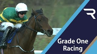 2019 Tattersalls Ireland Spring Juvenile Hurdle  Racing TV [upl. by Yttiy]