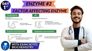 factor affecting enzyme activity biochemistry  enzyme biochemistry  mechanism of enzyme action [upl. by Dlanger]