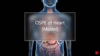 OSPE of Heart Model  Gross Anatomy [upl. by Aimej]