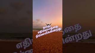 Tamil Quote tamilquotes inspiration trend facts தன்னம்பிக்கை [upl. by Wilhelm178]