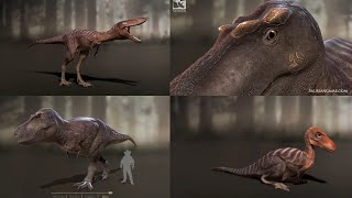 Saurian  Baby Trex motions and the process of growing Tyrannosaurus [upl. by Saltsman403]