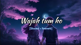 Wajah Tum Ho Full Movie 2016  Sharman Joshi Gurmeet Chaudhary Sana Khan  1080p HD Facts amp Review [upl. by Anastatius]