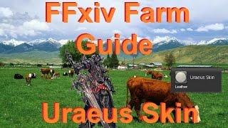 FFxiv Uraeus Skin Farming [upl. by Ynamreg447]