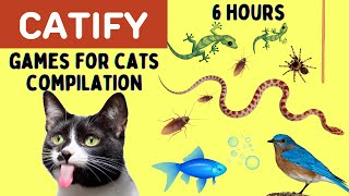 Games For Cats Compilation  6 HOURS  Snake lizard fish rope mice cockroach spider bird [upl. by Zanas]