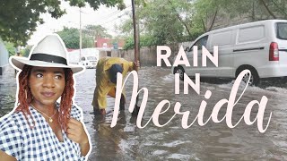 Flooded Merida Streets Bad Drainage System Poor City Planning Nonstop Rain [upl. by Pettit431]