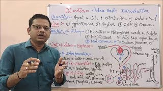 Diuretic Part01 Basic Introduction of Diuretics  Diuretics  What is Diuretic  Diuretic Agents [upl. by Adena167]