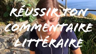 COMMENT FAIRE UN COMMENTAIRE LITTERAIRE [upl. by Sokil]