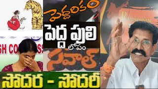 పెద్దరికంపెద్ద పులిసవాల్సోదరసోదరిwesupportcreatorspeddarikampeddapuli [upl. by Celia]