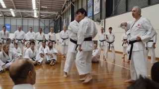 Naka Tatsuya Shihan  1st Day of JKA National Seminar [upl. by Dorolisa452]