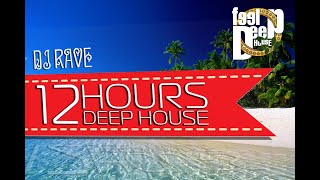 DJ RAVE  IN DA MIX 12 HOURS DEEP HOUSE [upl. by Sprung]