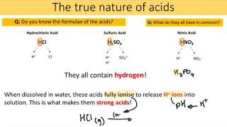 Y10 Reactions of Acids AQA GCSE Combined Science [upl. by Finny]