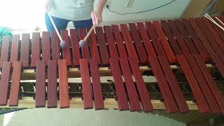 Overworld Theme from Super Mario Bros 2  Marimba [upl. by Retrac]