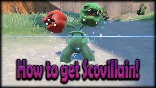 How to evolve Capsakid into Scovillain in Pokemon Scarlet and Violet [upl. by Rebm308]