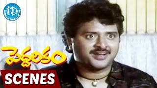 Peddarikam Movie Scenes  Sudhakar Trying to Convince Jagapati Babu  Sukanya [upl. by Ahtnams394]