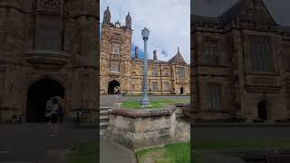 The University of Sydney quadrangle Sydney australia shorts [upl. by Ekoorb]