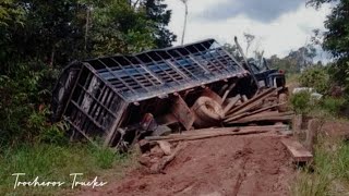 Trochas de COLOMBIA [upl. by Dimah428]