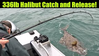 336lb Halibut Catch and Release Alaskan Halibut Fishing  Petersburg Alaska JULY 2024 halibut [upl. by Yecal]