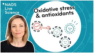 Oxidative stress and antioxidants [upl. by Daveen]