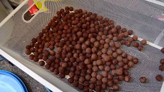 Making Creamy FishmealSquid boilies [upl. by Canning]