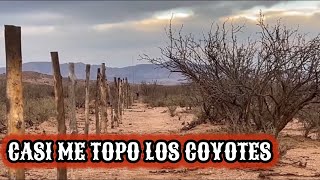 24🌵COYOTES‼️ MATERIAL PARA LA CASA ✅ESTA ES LA ORILLA DEL RANCHO🔥 [upl. by Llerud]