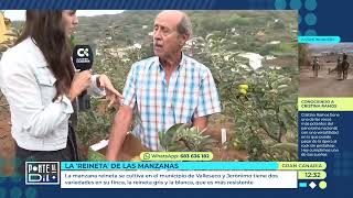 📺 La manzana reineta 🍏 de Valleseco en la TVC “Ponte al día” [upl. by Hsiekal]