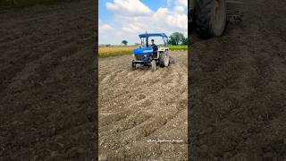 New Holland 3230 NX 42 Hp Tractor performance in fields with Cultivator shorts newholland tractor [upl. by Marthena]