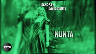 Sandra N feat David Ciente  Nunta Speedup Version  NIGHTCORE Remix [upl. by Elburt720]