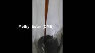 Methyl Ester CME as Alternative Fuel for Diesel Generators [upl. by Tati]