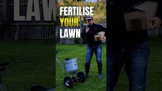 When is the best time to use fertiliser for the best lawncare results shorts [upl. by Aaberg259]