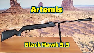 Review Black Hawk Gas Ram 70kg 55mm Artemis [upl. by Sanford622]