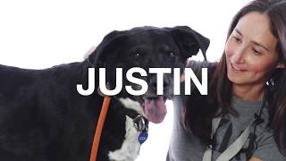 Adopt Justin at NKLA [upl. by Odnalref630]