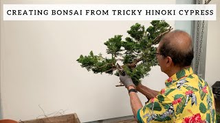 Creating Bonsai from A Tricky Hinoki Cypress [upl. by Sinclair14]