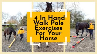 Great InHand Pole Exercises For Your Horse  Equestrian [upl. by Ecirp]