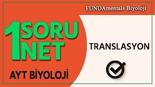 AYT Biyoloji Translasyon  1 Soru 1 Net [upl. by Anattar]