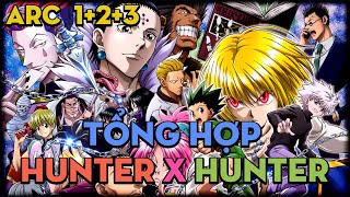 TỔNG HỢP quotHunter x Hunterquot  ARC 1  2  3  AL Anime [upl. by Nylekoorb]