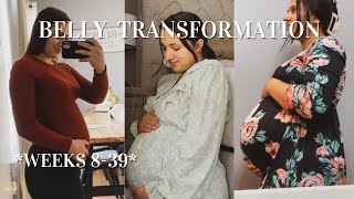 PREGNANCY BELLY GROWTH  week by week transformation baby 2 [upl. by Schwitzer218]