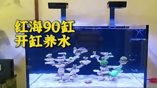 红海90缸送货安装，G2 300升水体量，一周后下生物 [upl. by Gahan106]